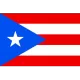 Logo Puerto Rico (w)